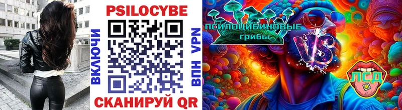 Галлюциногенные грибы мухоморы  где купить наркотик  Горячеводский 